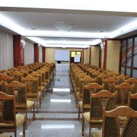 Hotel Emma Est - Conferinte